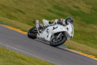 PJ-Motorsport-2019;anglesey-no-limits-trackday;anglesey-photographs;anglesey-trackday-photographs;enduro-digital-images;event-digital-images;eventdigitalimages;no-limits-trackdays;peter-wileman-photography;racing-digital-images;trac-mon;trackday-digital-images;trackday-photos;ty-croes